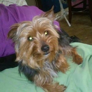 Meet your Posher, Eugenia