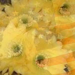 Meet your Posher, Eva