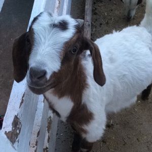 Meet your Posher, Jaylynn