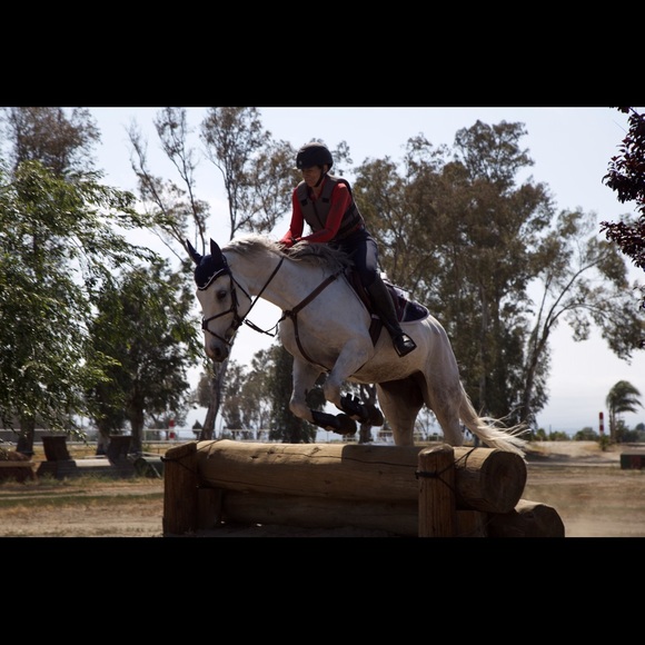 Meet your Posher, Amy - Picture 3 of 4