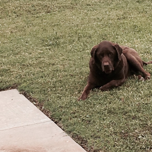 Meet your Posher, Pam