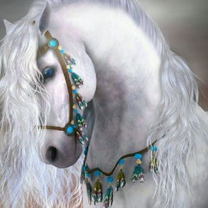 Meet your Posher, Jean