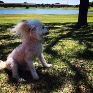 Meet your Posher, Madi