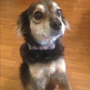 Meet your Posher, Hannah