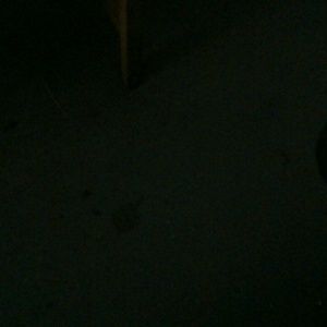 Meet your Posher, Reneka