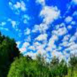 Meet your Posher, Sofia