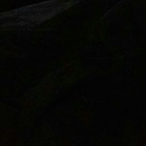 Meet your Posher, Helen