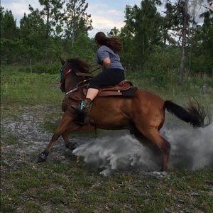 Meet your Posher, Cheyenne