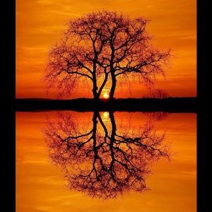 Meet your Posher, Lynda