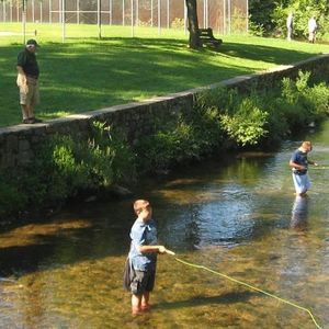 Meet your Posher, Nancy