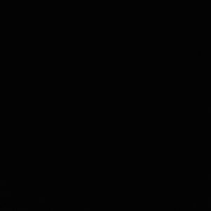 Meet your Posher, Charles