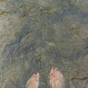 Meet your Posher, Katrina