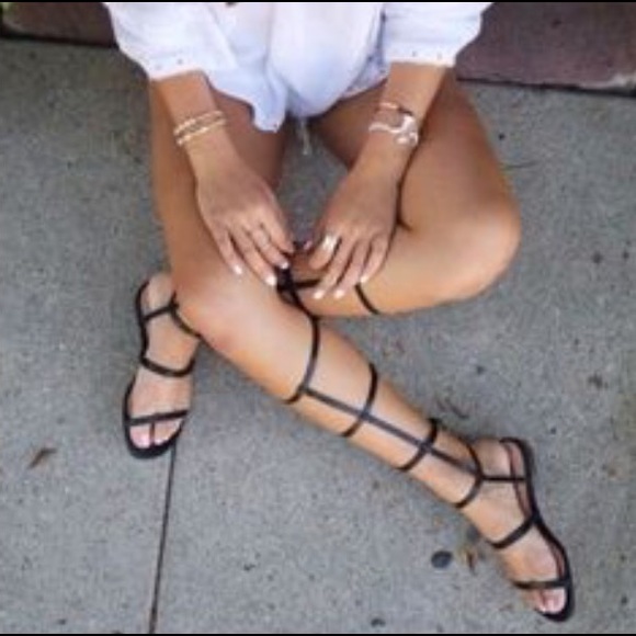 Meet your Posher, Devon - Picture 4 of 4