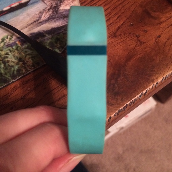 Fitbit Flex