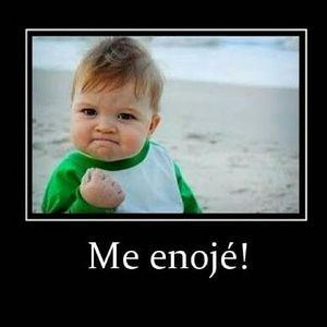 Meet your Posher, Rose