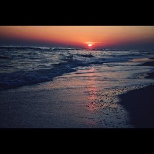 Meet your Posher, Ella