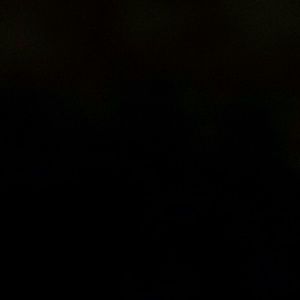 Meet your Posher, Annora