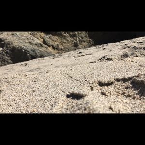 Meet your Posher, Roxy