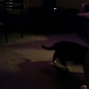 Meet your Posher, Jas