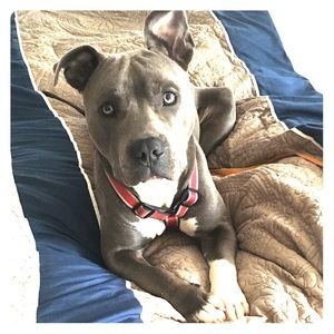 Meet your Posher, Jacky