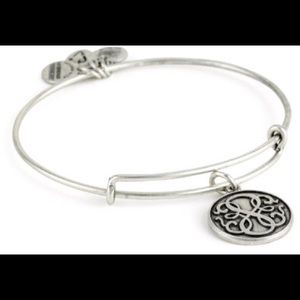 Alex and Ani Path of Life Bangle
