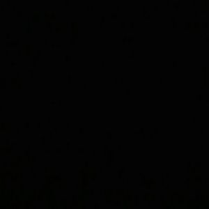 Meet your Posher, Blake