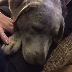 Meet your Posher, Nancy