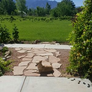 Meet your Posher, Yvette