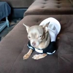 Meet your Posher, Lori