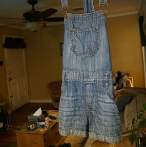 Express Overall Shorts