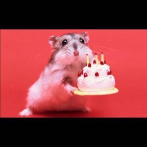 Meet your Posher, Brandy