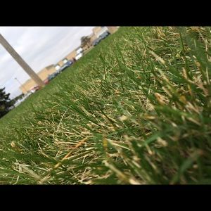 Meet your Posher, Kenzie