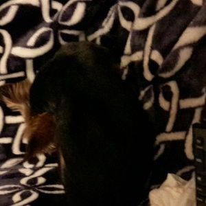 Meet your Posher, Yolanda