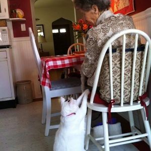 Meet your Posher, Janice