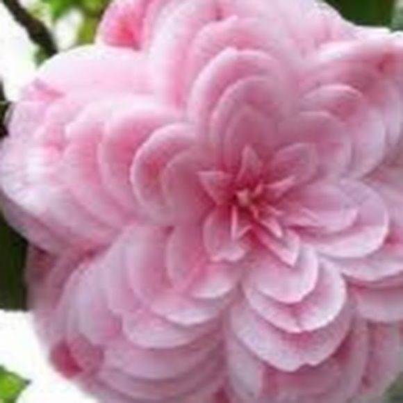 Meet your Posher, Email by - Picture 1 of 1