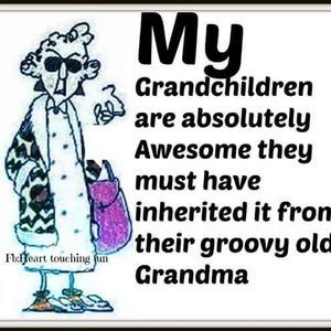 Meet your Posher, Donna