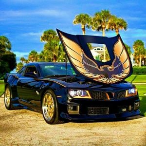 Meet your Posher, Darla