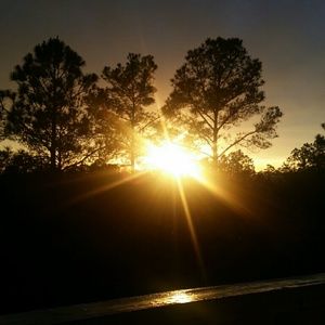 Meet your Posher, Karen rose