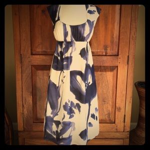 Gorgeous Banana Republic Martin & Osa silk dress