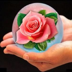 Meet your Posher, Gloria