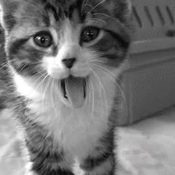 Meet your Posher, Aisha