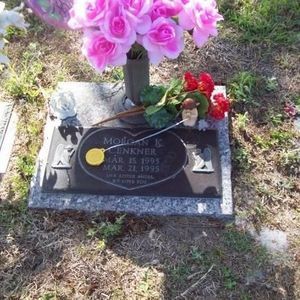 Meet your Posher, Dee