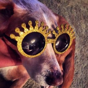 Meet your Posher, Kimi