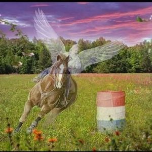 Meet your Posher, Lacy