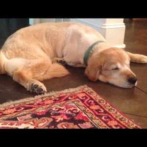 Meet your Posher, Esther