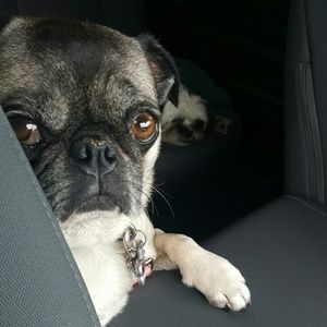 Meet your Posher, Heather