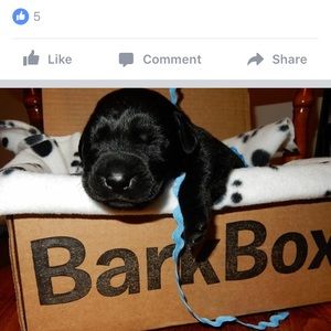 Meet your Posher, Julie