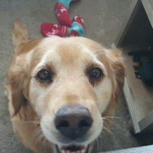 Meet your Posher, Kaleigh