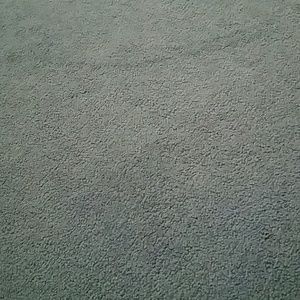 Meet your Posher, Frankie