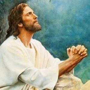 Meet your Posher, Lucy